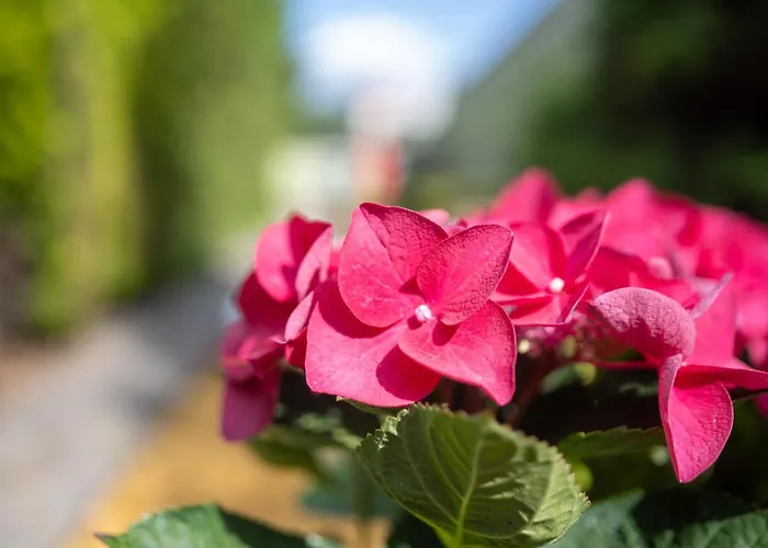 波兹南中心托帕兹酒店 酒店