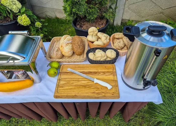 波兹南中心托帕兹酒店 酒店 波兹南