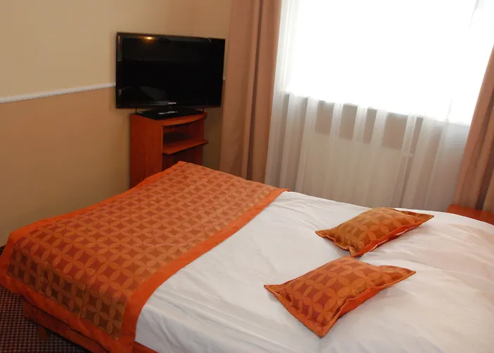 酒店 波兹南中心托帕兹酒店