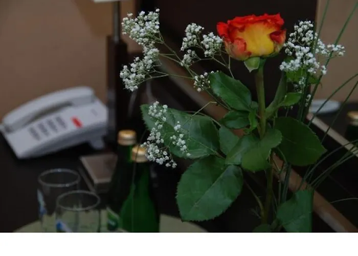 波兹南中心托帕兹酒店 3*